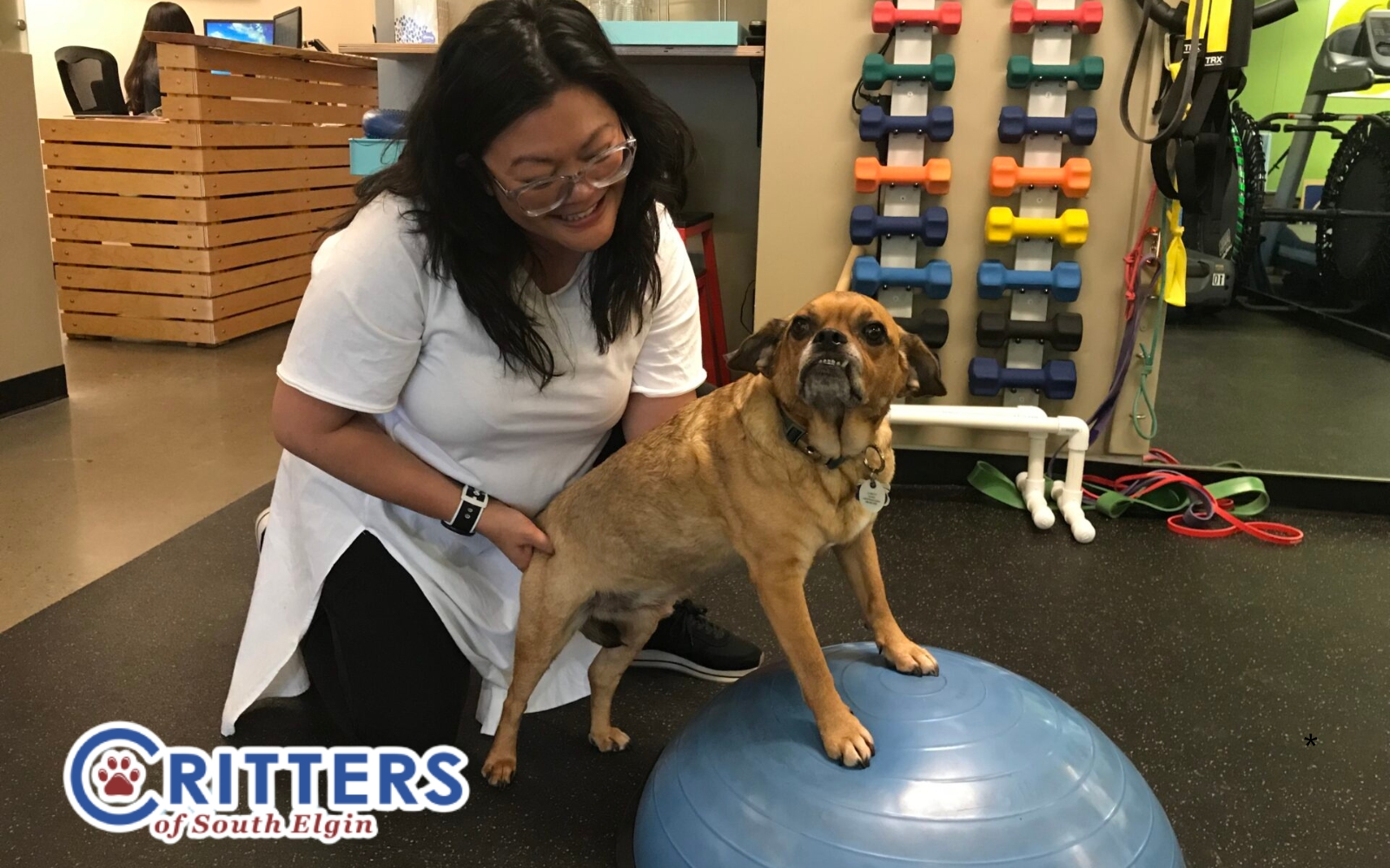 Is your dog slowing down on walks? Does your cat seem stiff getting up? Wondering if your pet’s "just getting older" or if something more can be done? Join us at Critters for a free Q&A with Canine Physical Rehab and Recreation — a team of experts with 20+ years of experience helping pets live happier, pain-free lives. Come meet the team, ask your questions, and learn how physical therapy can make a world of difference for your pet. From arthritis to injury recovery, they’ve seen it all — and they’re here to help. Services offered at Canine Physical Rehab and Recreation: 🏊 Heated pool 🏃‍♀️ Underwater + land treadmills 💡 Class 4 lasers ⚡ E-stim + Ultrasound 😌 Manual therapy & custom exercise programs No appointment needed for the live Q&A — just stop in! Bring your questions, bring a friend, and let’s talk about keeping our furry friends feeling their best.