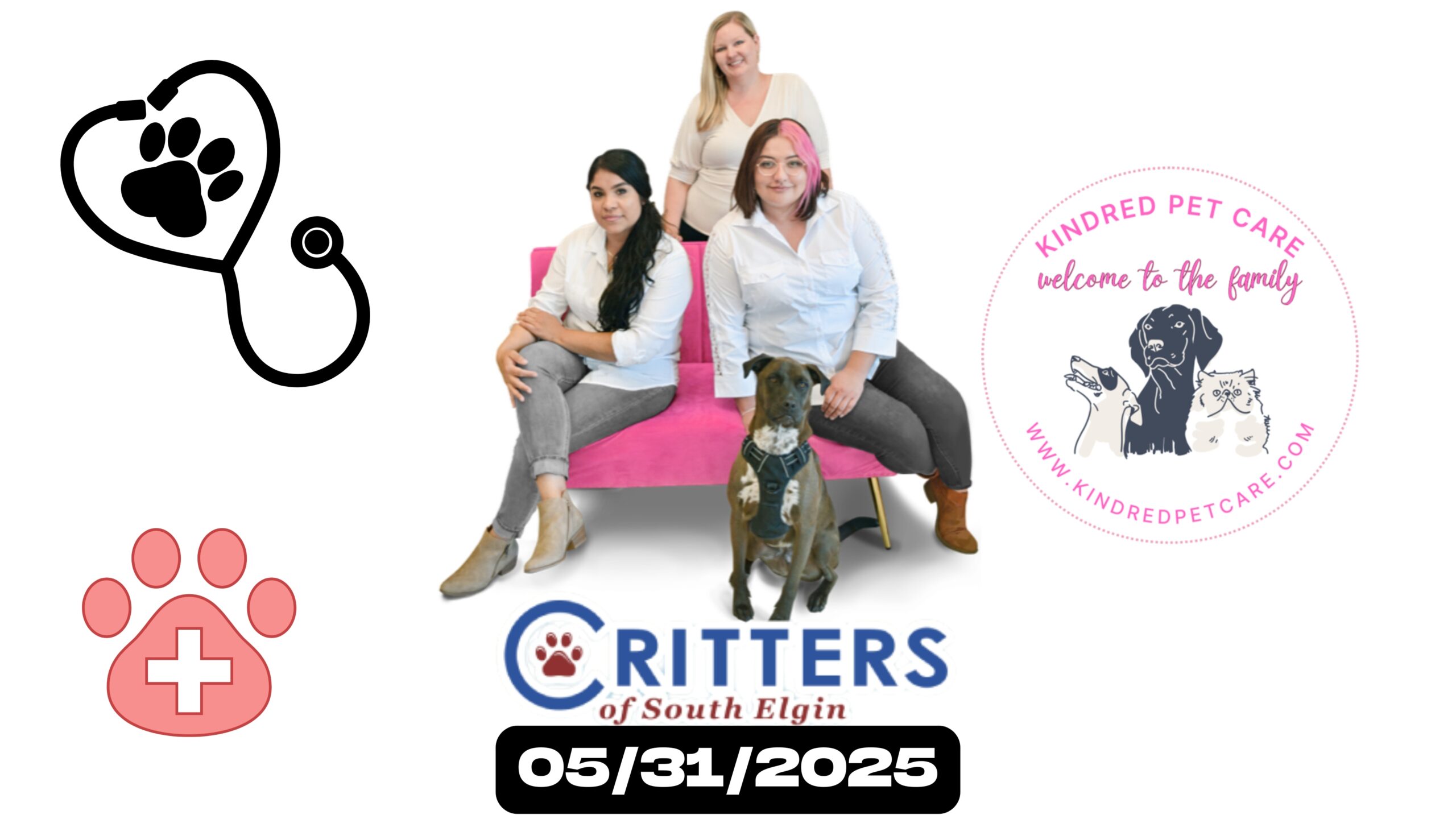 🐾 ASK A VET — May 31st at Critters! 🐾