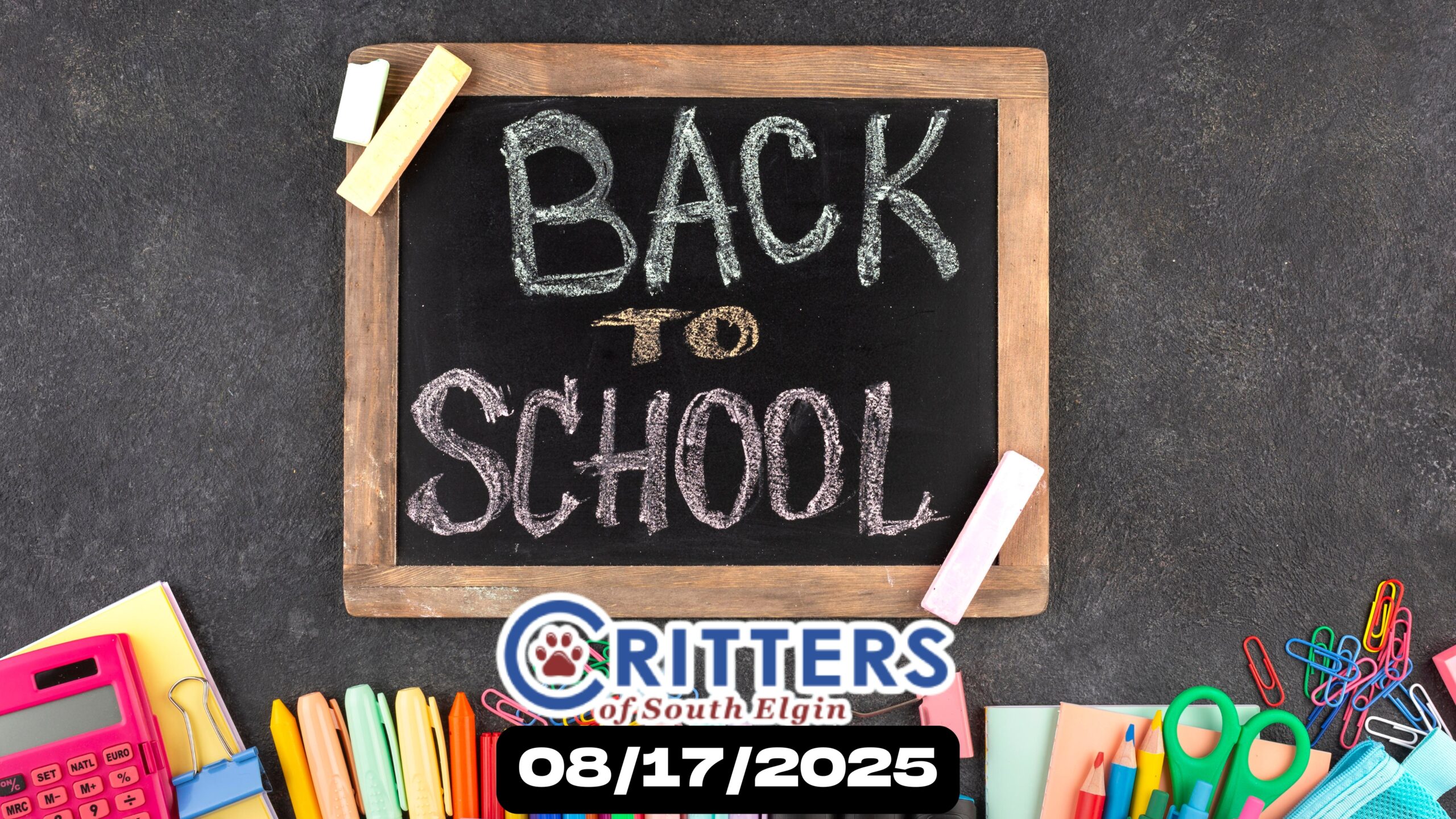 Back‑to‑School Cat‑Adoption Bash Back‑to‑School Cat‑Adoption Bash