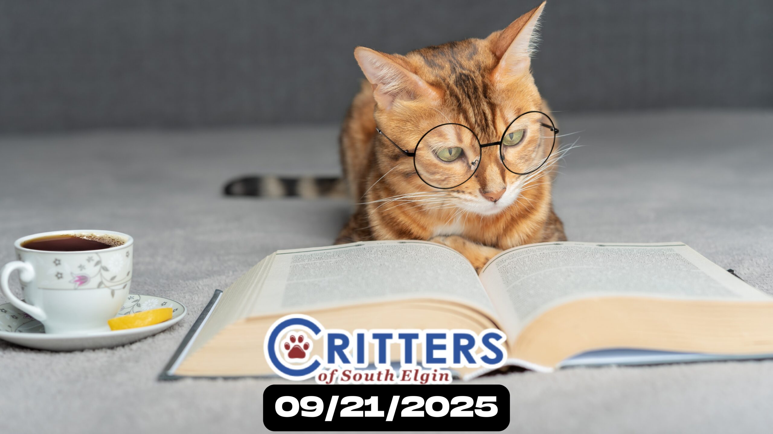 Smart Start Sunday” (Responsible Pet Ownership Weekend)