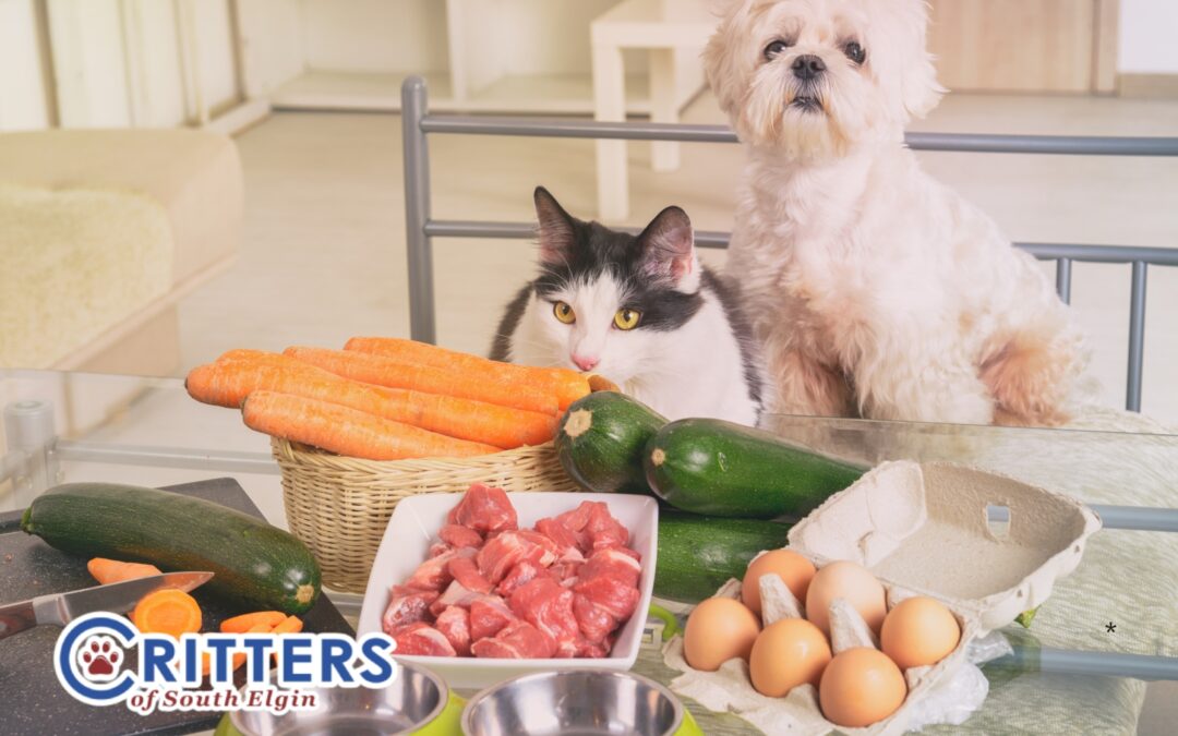 Toxic Foods for Pets in Your Kitchen