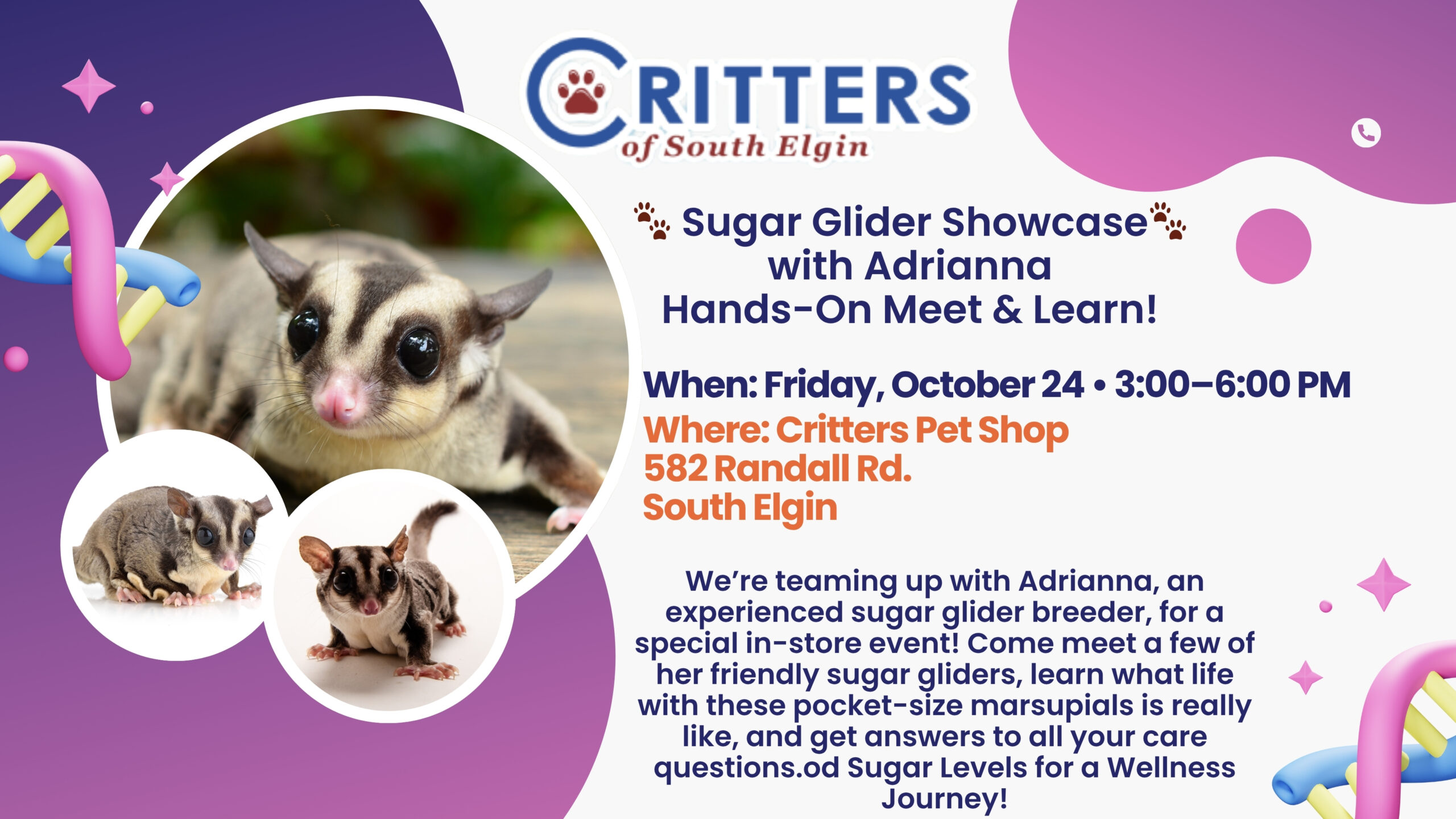 Sugar GlideraShowcase with Adrianna β Hands-On Meet & Learn! Sugar GlideraShowcase with Adrianna β Hands-On Meet & Learn!