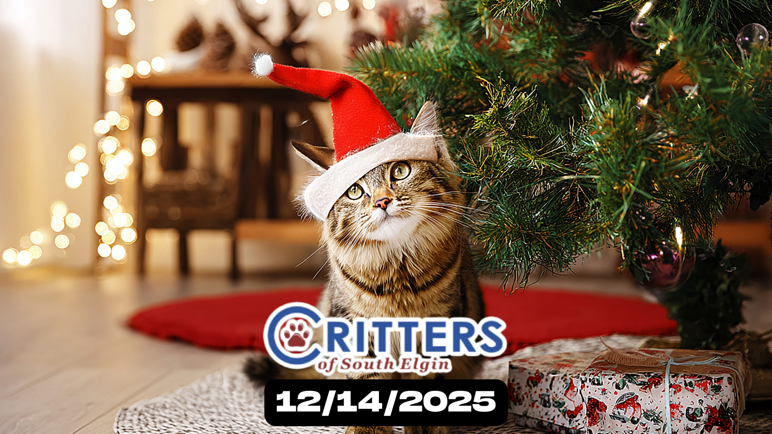 Home for the Holidays