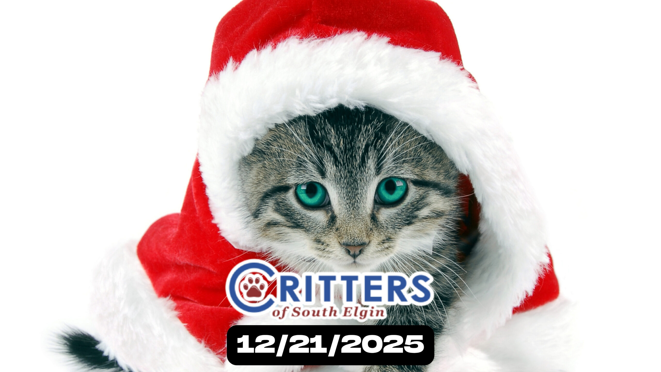 Merry Meowmas Matchmaking