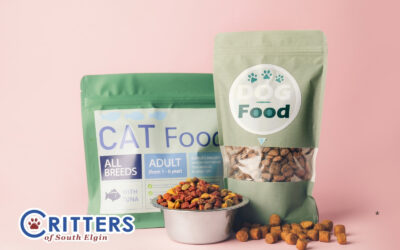 Dietary Changes and Cold Weather Pet Nutrition