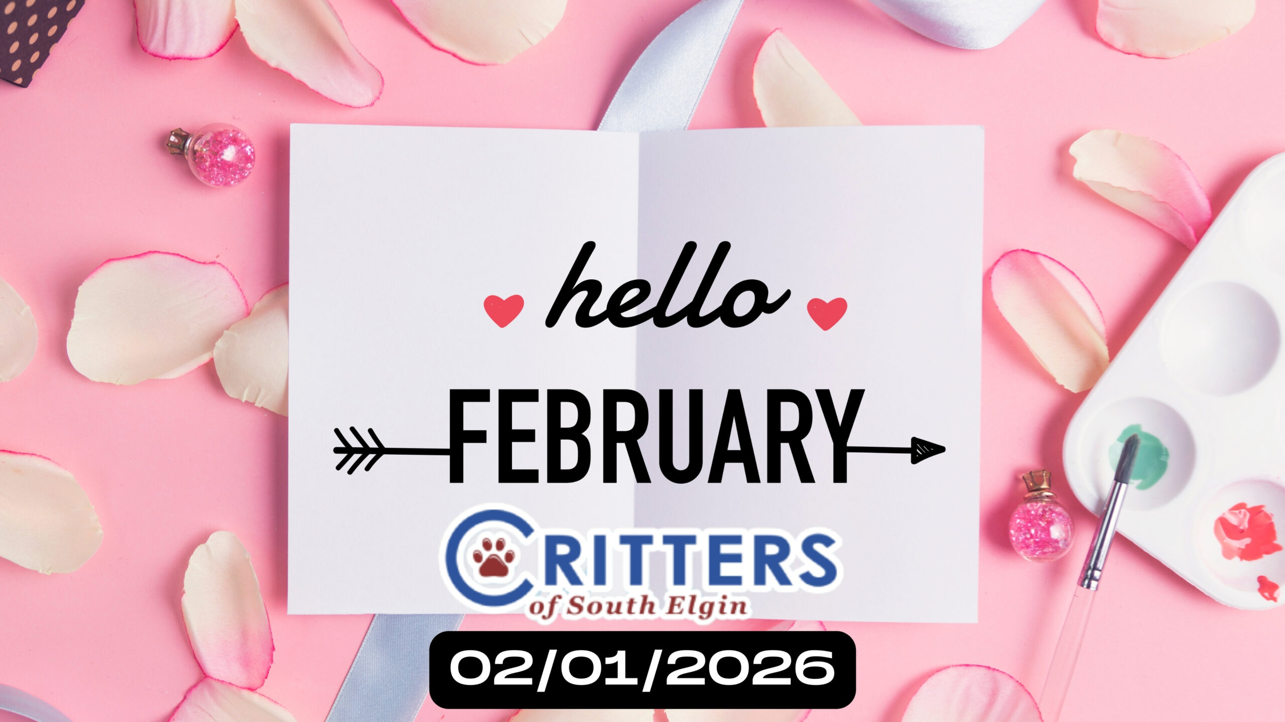 Furry February Kickoff_ Find Your New Best Friend