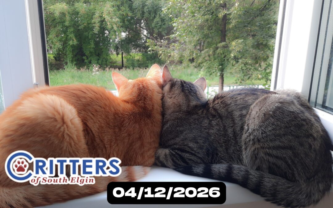 April Showers & Snuggles