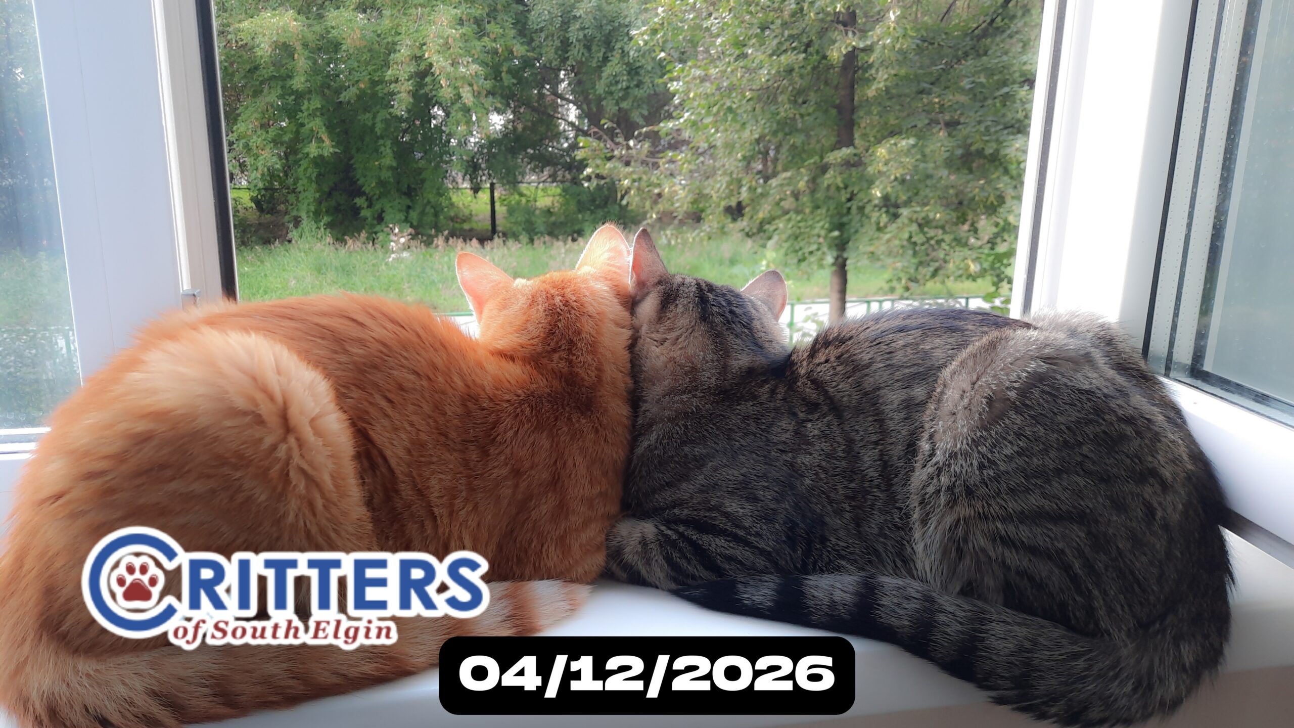 April Showers & Snuggles