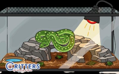 Bioactive Habitats 101: What “Bioactive” Really Means