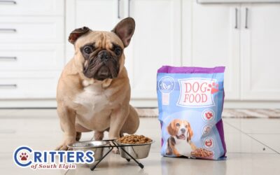 Deciphering Premium Pet Food Labels without the Marketing Hype