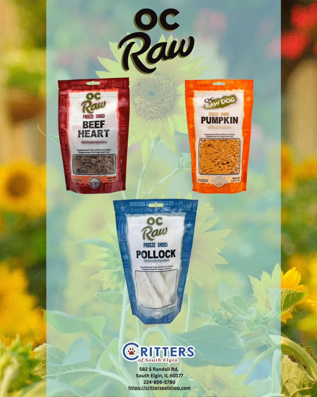 Social Media Post (Instagram Post (45))