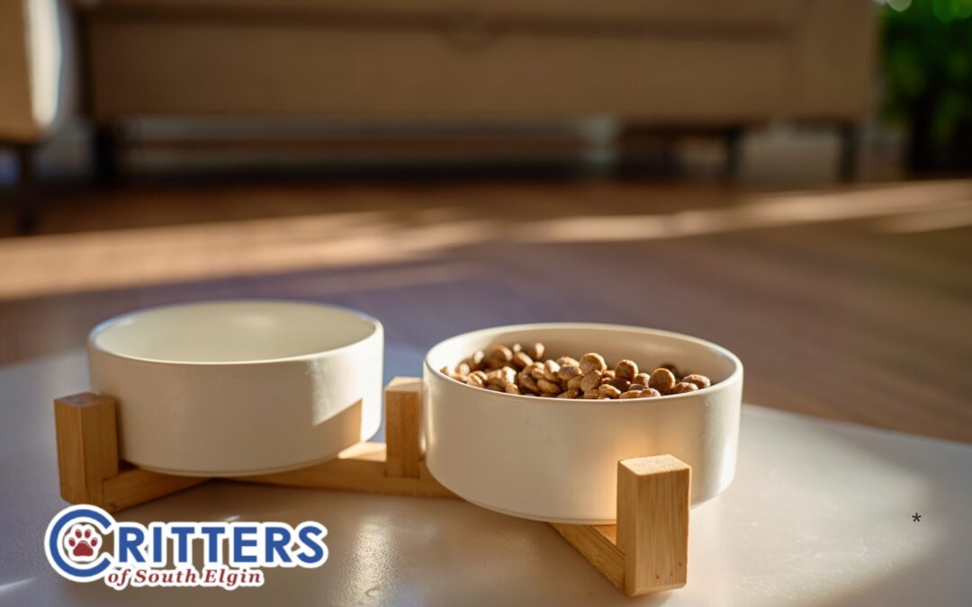 Understanding Limited Ingredient Diets and Novel Proteins for Sensitive Pets
