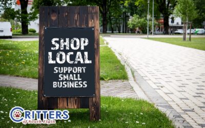 Why a Local, Knowledgeable Pet Shop Is the Key to Long-Term Pet Health