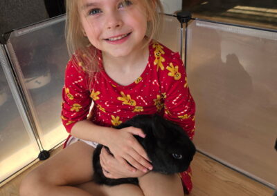 Rabbit adoption-Critters Pet Shop