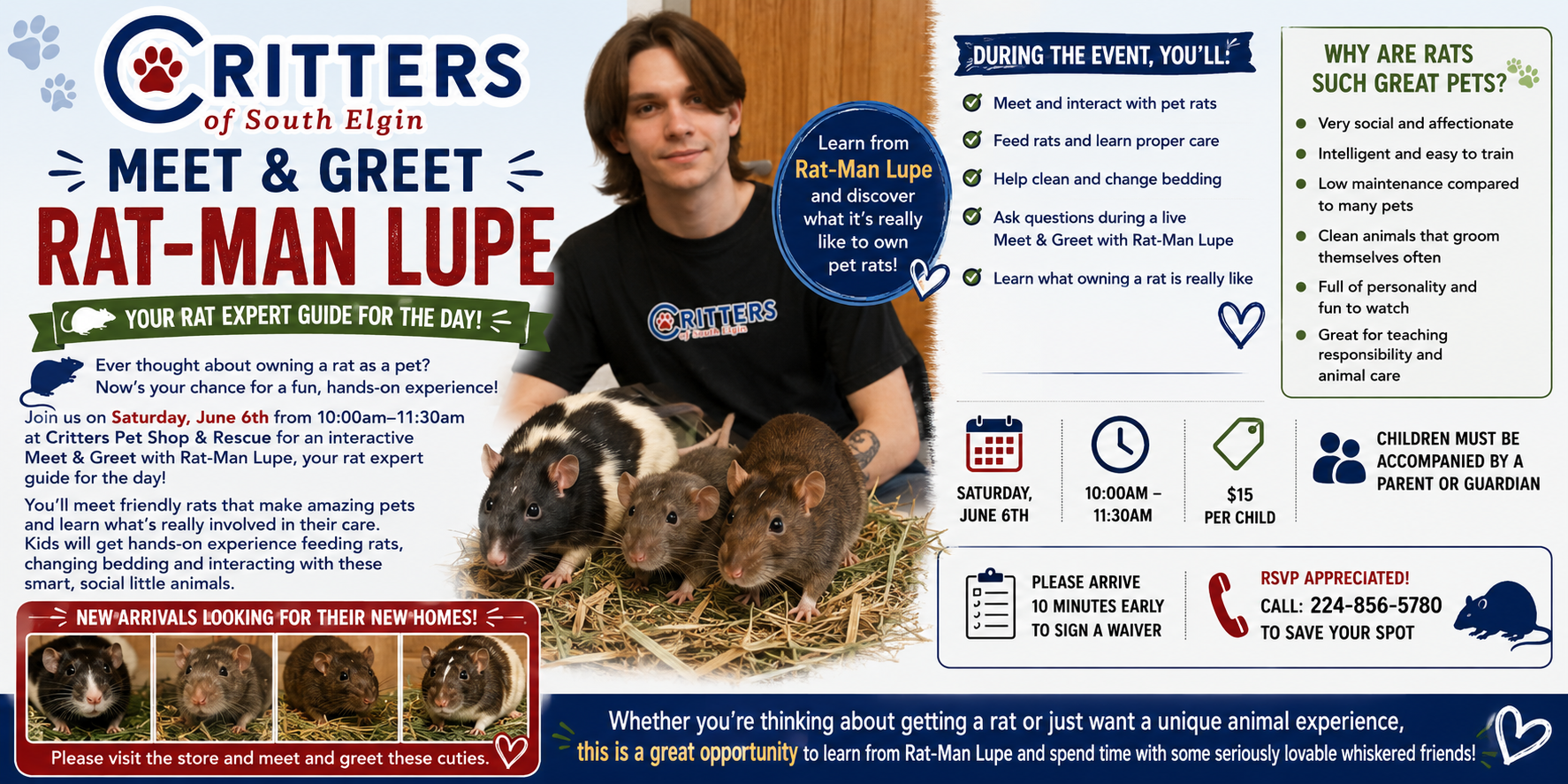 Ever thought about owning a rat as a pet?