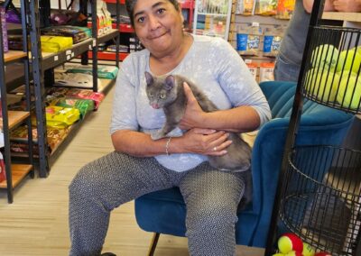 Cat Adoption