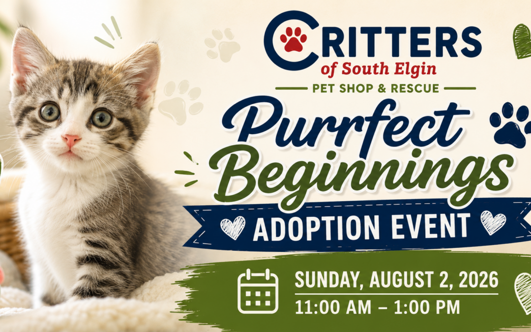 Purrfect Beginnings Adoption Event-August 2nd