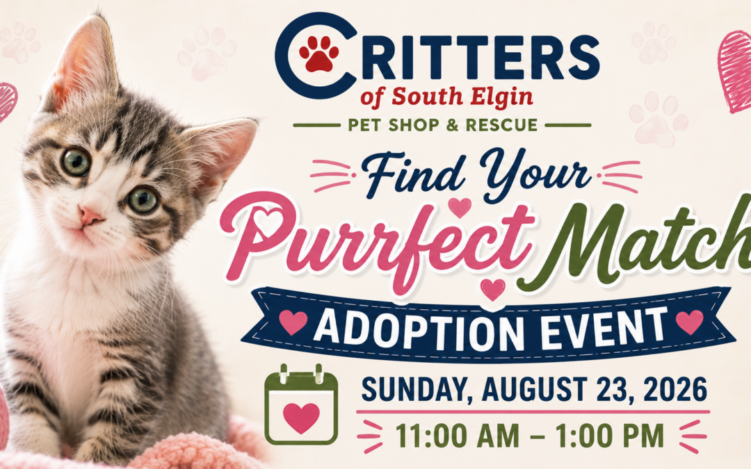 ❤️ Find Your Purrfect Match Adoption Event-August 23rd