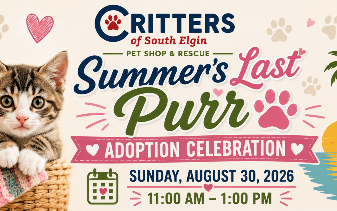 🌞 Summer’s Last Purr Adoption Celebration-August 30th