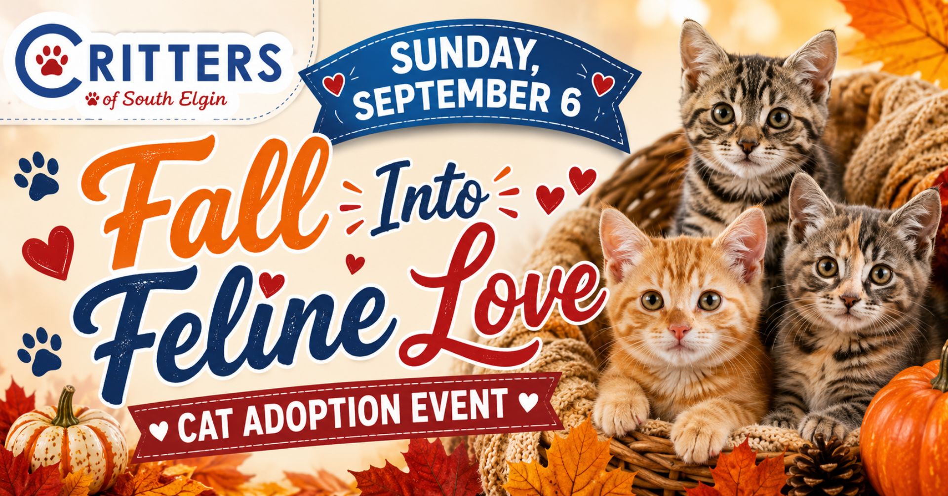 Fall Into Feline Love Cat Adoption Event