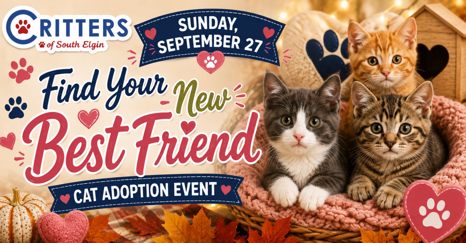 Sunday, September 27- 🐱 Find Your New Best Friend Cat Adoption Event