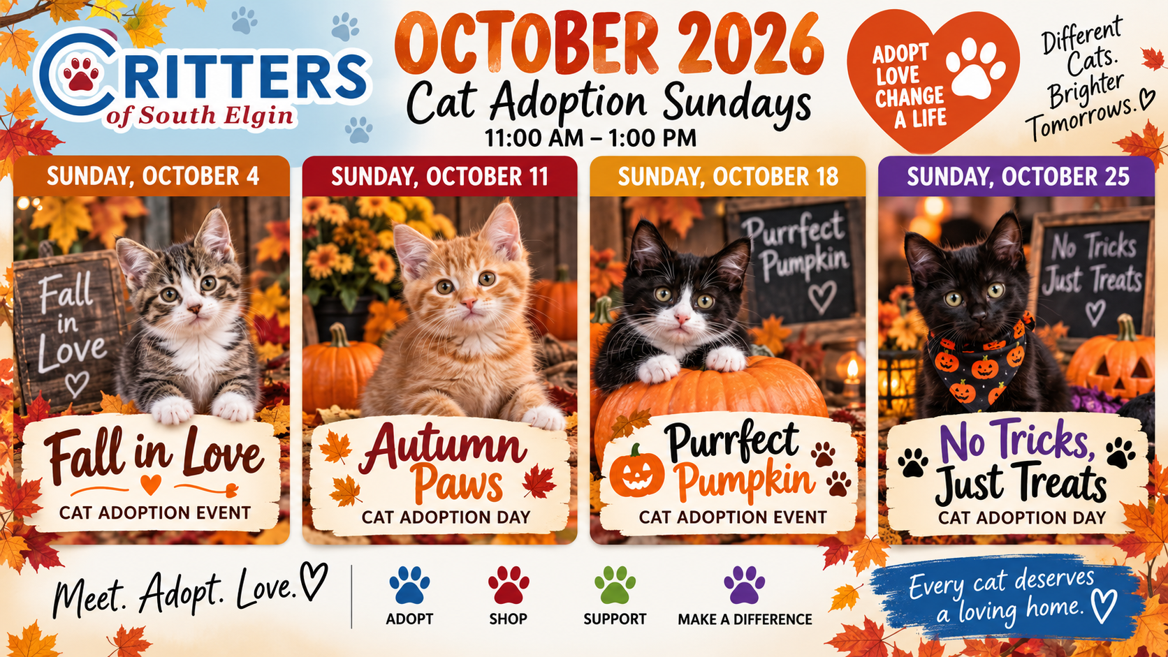 October Cat Adoption events at Critters
