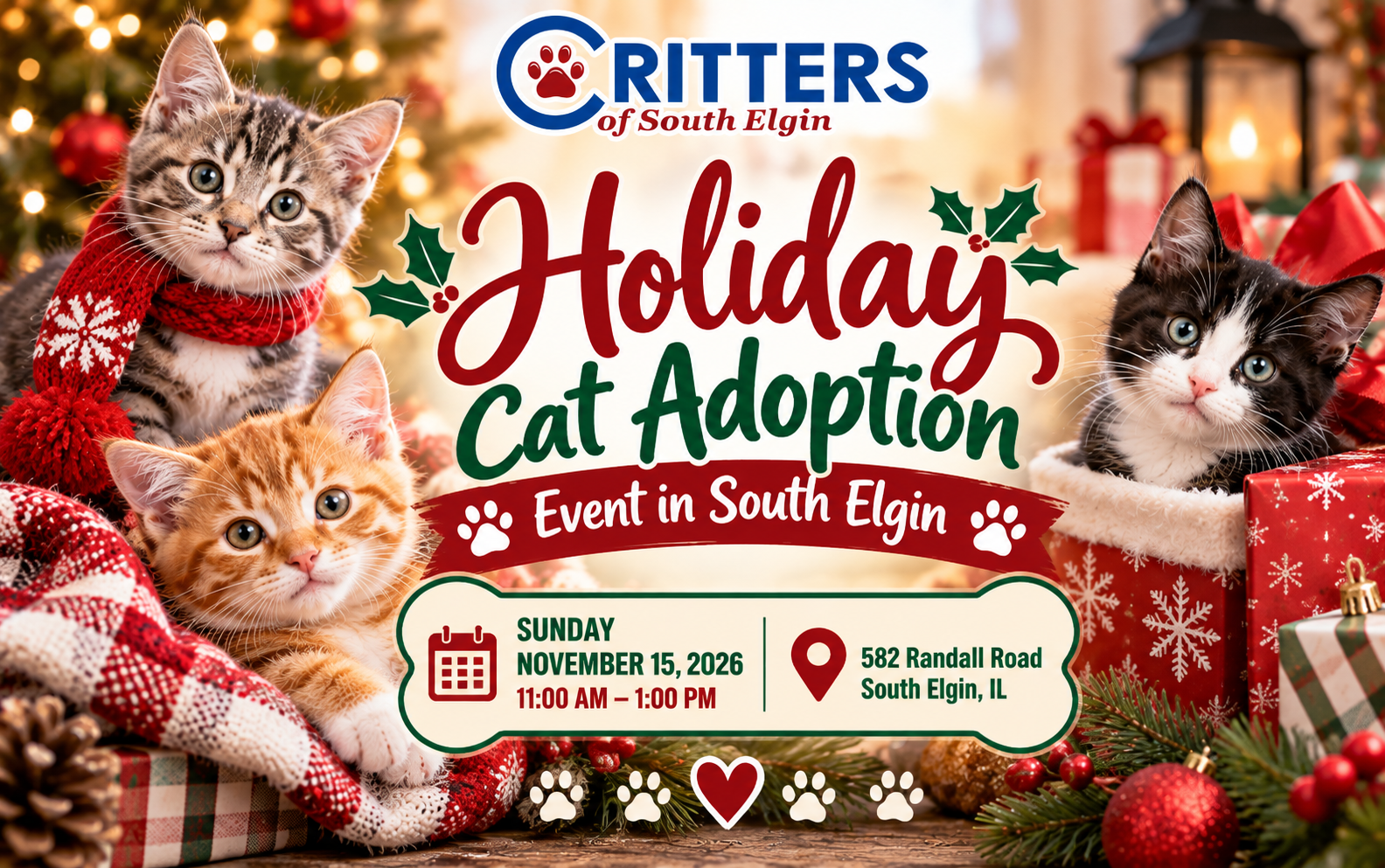 Holiday Cat Adoption Event in South Elgin Holiday Cat Adoption Event in South Elgin